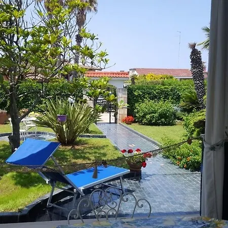 فيلة Magnolia باري