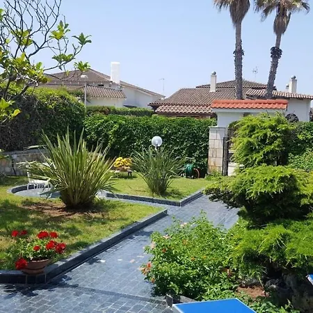 Magnolia فيلة باري